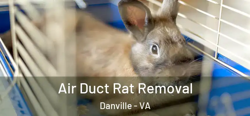  Air Duct Rat Removal Danville - VA