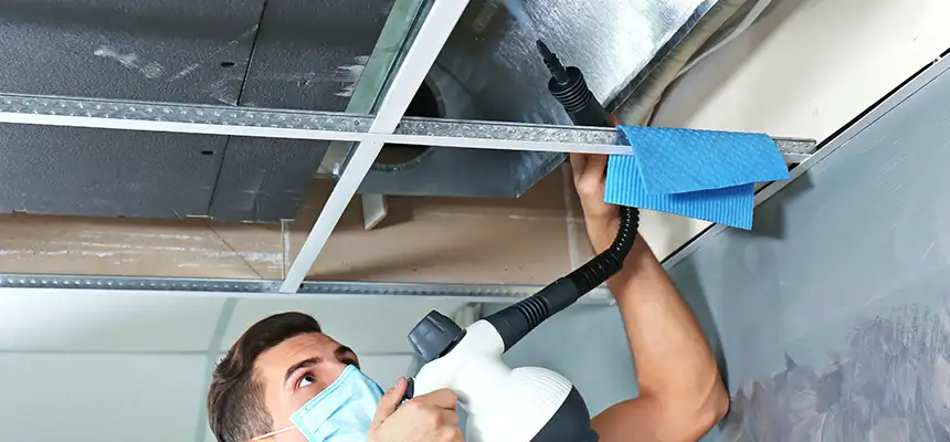 Our Air Duct Rodent Removal Services in Danville, VA
