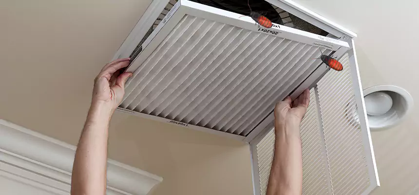 Our Insect Removal from Air Ducts Services in Danville, VA