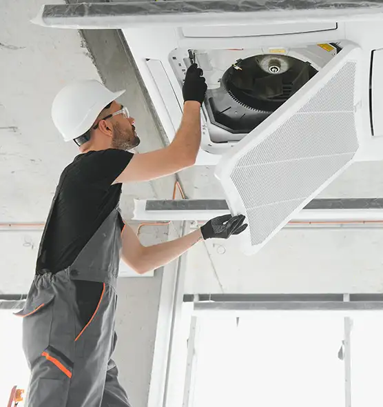 About Air Duct Rodent Removal in Danville, VA