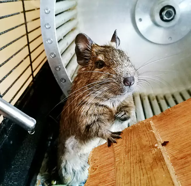 Why Homeowners & Businesses Trust Us Danville, VA?